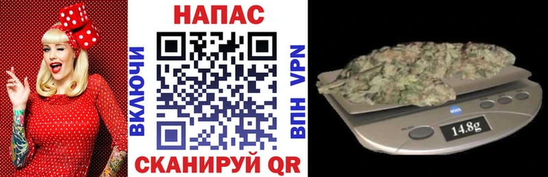 darknet состав  Красный Кут  Бошки Шишки планчик 